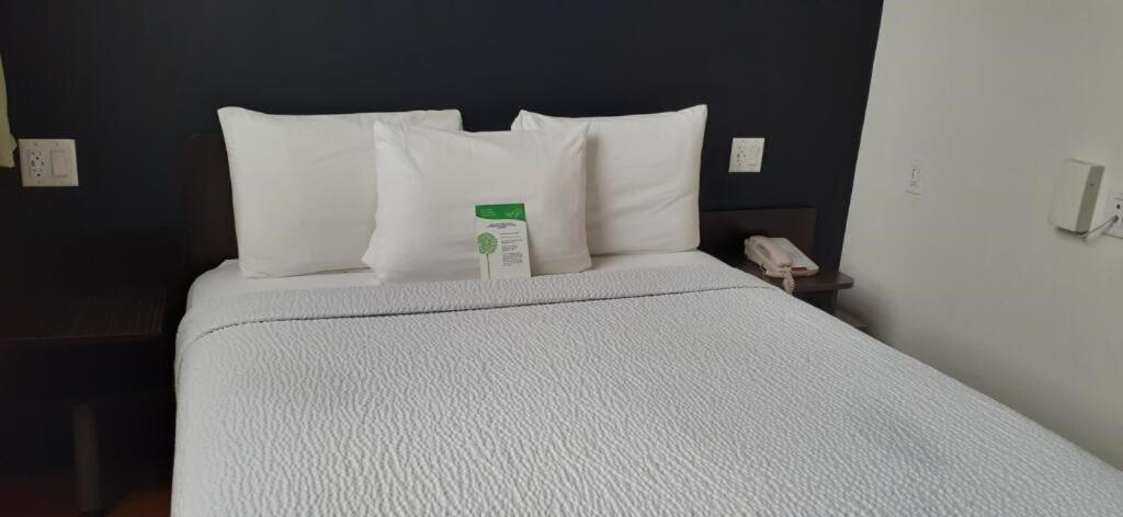 King Room,1356947471:JPEG