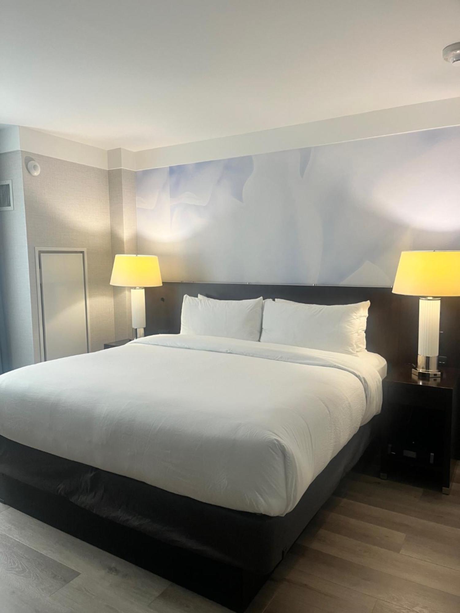 Guest Room, 1 King,1696630248:JPEG