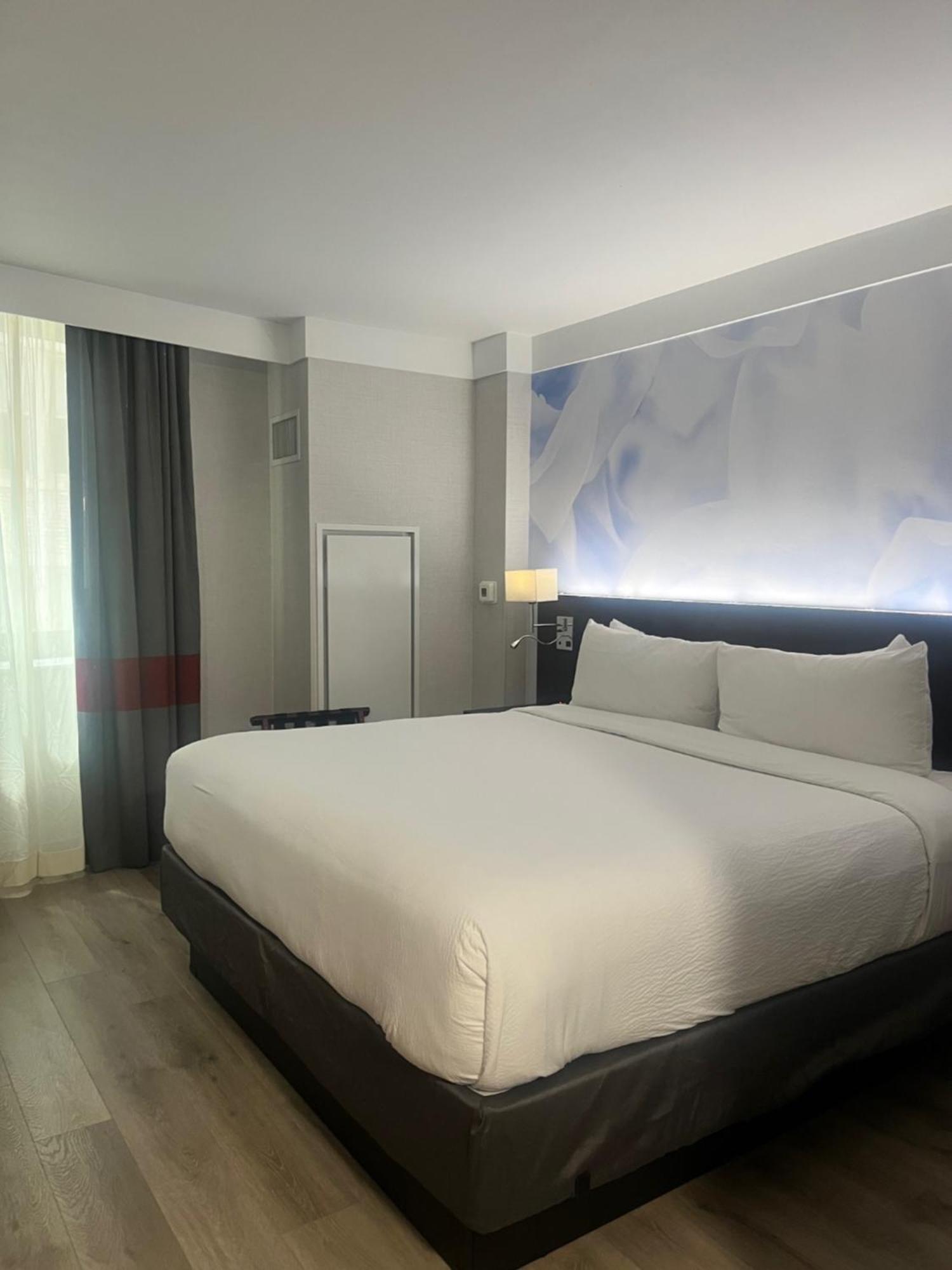 King Room - Mobility and Hearing Accessible with Roll-in Shower,1696630251:JPEG